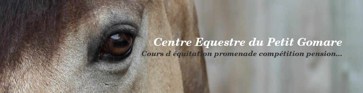 Centre Equestre du Petit Gomare